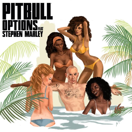 Pitbull - Options ft. Stephen Marley